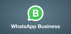 whatsapp business for pc